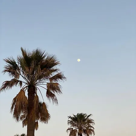 El Rincon De La Buti 펜션